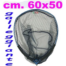 testa guadino galleggiante