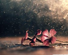 Trioplan modificato per Helios