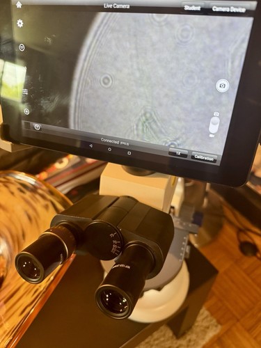 Swift m10 research microscopio - m10,