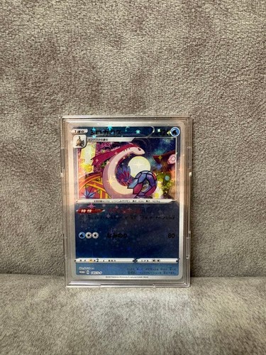 Milotic special box - special,
