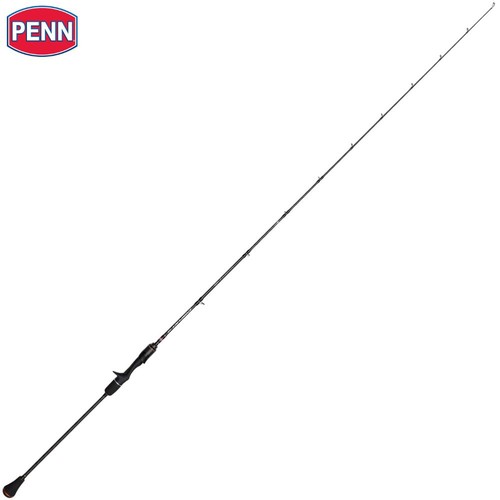 Penn saltwater slow jigging - saltwater,