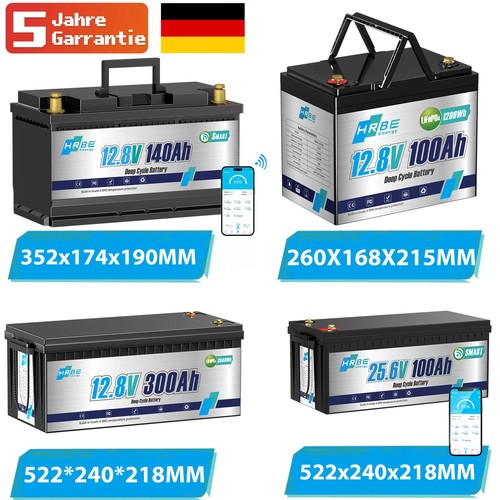 Batteria litio 300ah - batteria, 12v