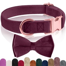 KTWSUEF Collare Cane papillon