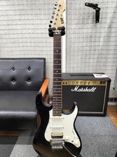 Chitarra elettrica ESP