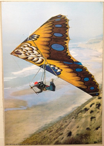 Deltaplano hang glider - deltaplano,