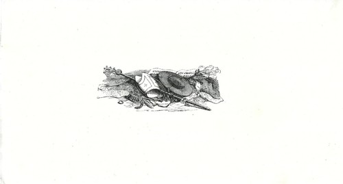 Stampa antica paramenti sacri - stampa,