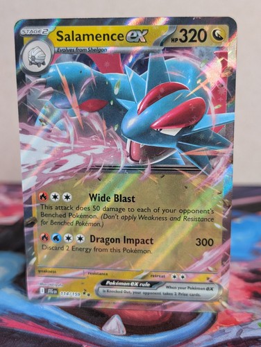 Salamence 114 159 - salamence, double