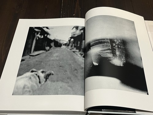 Edizione 2019 con libro - edizione,