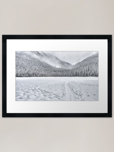 Stampa artistica con - , cornice