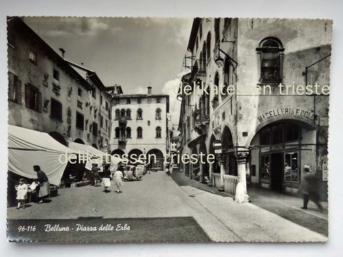 Belluno piazza delle - belluno,