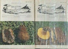 BOLLETTINO DEL GRUPPO