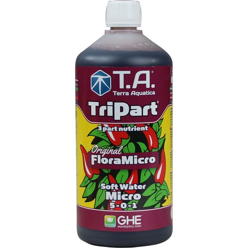Ghe flora micro - flora, (1