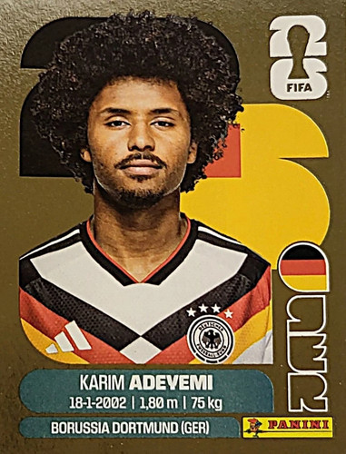 142 panini fifa worldcup - 142🪷panini,
