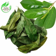 Foglie intere di Soursop bio