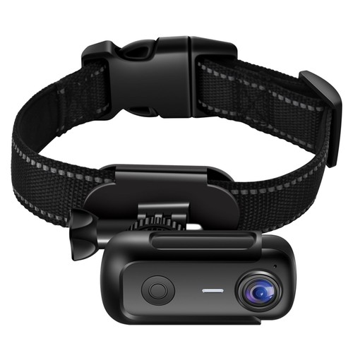 Videocamera magnetica - ,
