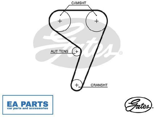 Cinghia distribuzione per ford - cinghia,