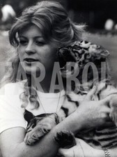 Foto vintage UK, Ragazza con cucciolo di tigre, stampa 21x15 cm