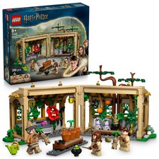 Castello Hogwarts lezione di