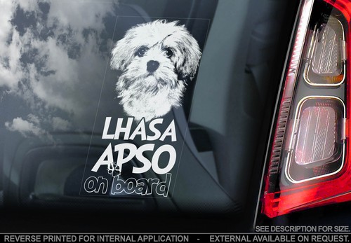 Lhasa apso car window - apso,