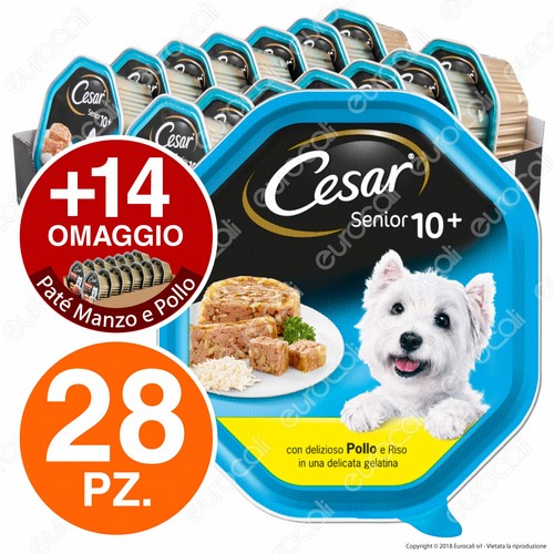 Cesar senior cibo per - senior, 10+