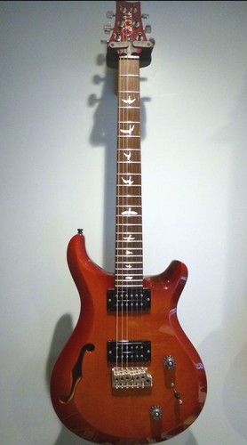 Prs usa custom - custom, semi