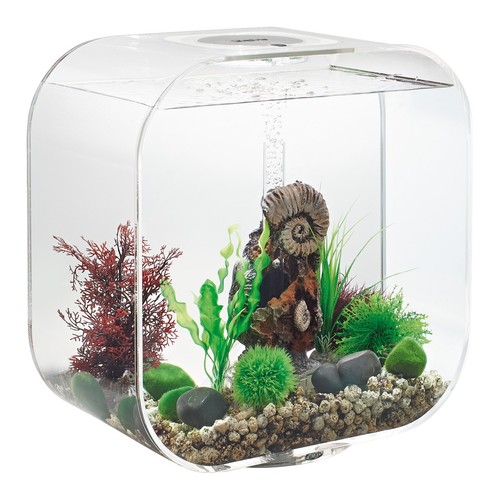 Oasi biorb life - biorb, 30
