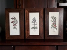 Quadro stampe antiche - quadro,