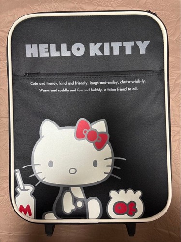 Hello kitty carry - kitty, case