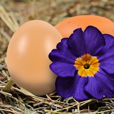  4 pezzi di uova finte in schiuma uova artigianali in schiuma per dipingere uova