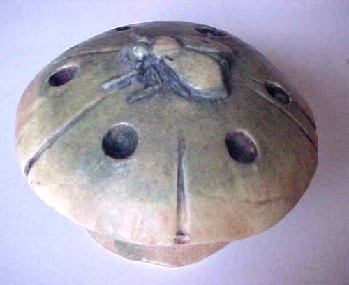 Rara rana fiore fungo mosca
