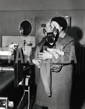 Foto Vintage Animali Cani Pastore Tedesco cucciolo stampa 27x22 cm