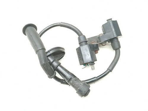 Coppia bobine accensione - bobine,