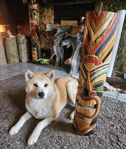 Maschera tiki wanddeko - maschera, maori