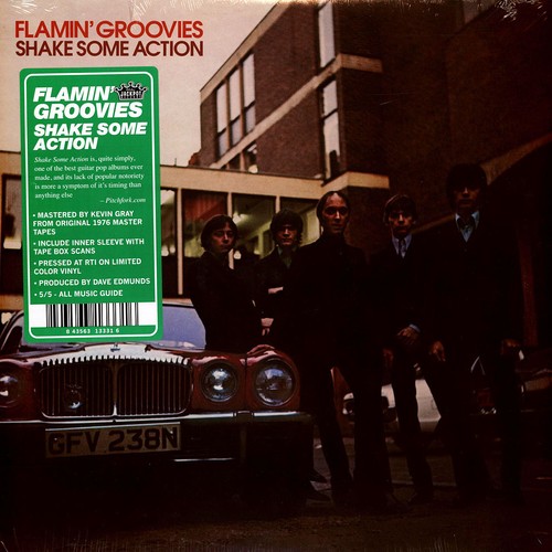 Flamin groovies shake some - shake,