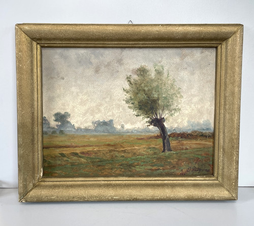 Antico quadro dipinto olio - antico,