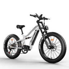 Bicicletta elettrica 48V 18AH