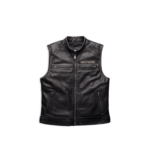 Harley davidson passing link - harley-davidson,
