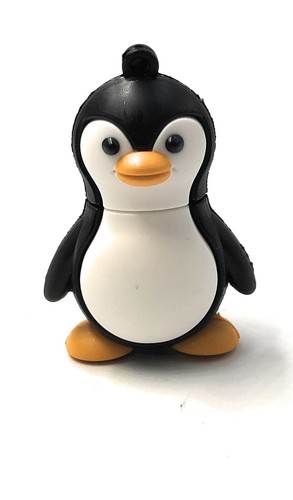 Pinguino piedi artico - pinguino, in