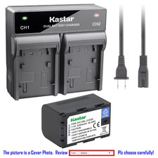 Kastar Battery Dual Rapid