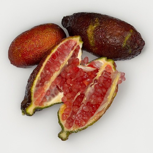 Caviale limone finger - di, |