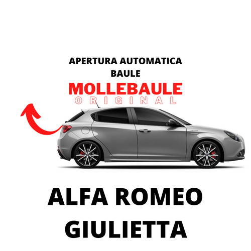 Mollebaule kit molle - mollebaule,