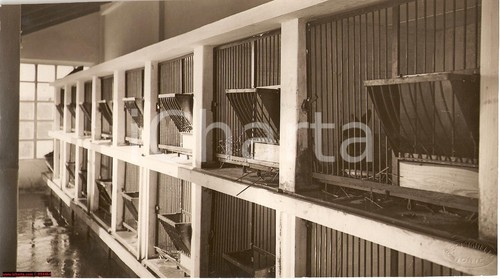 1930 rubignacco cividale - 1930,