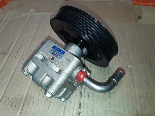 4910067j00 pompa servosterzo - 4910067j00,