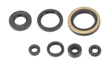 Kit guarnizioni olio motore