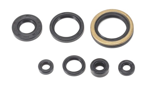 Kit guarnizioni olio - , motore