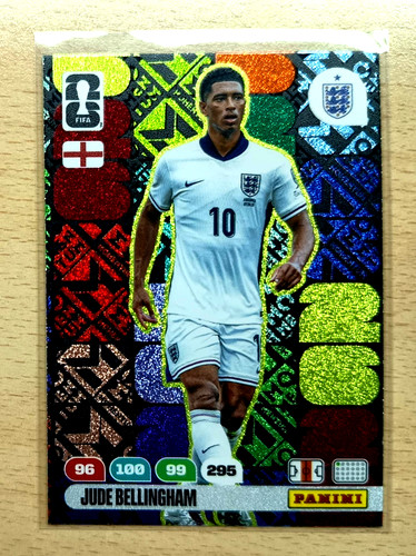 Panini adrenalyn world cup - adrenalyn,