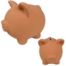 Bruna Coli' salvadanaio