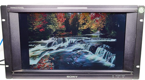 Sony bvm f170a monitor - sony, di