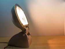 Faro Regolabile 150W da Esterno Fosnova Apollo FOS2204957579