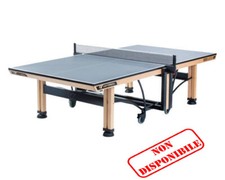 Tennis tavolo da Ping Pong
